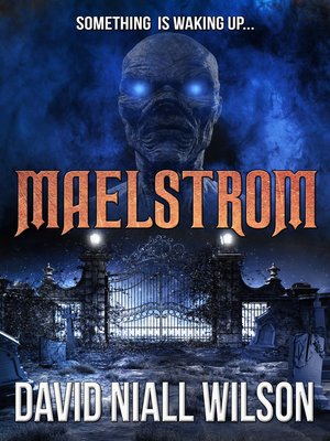 Maelstrom - ebook
